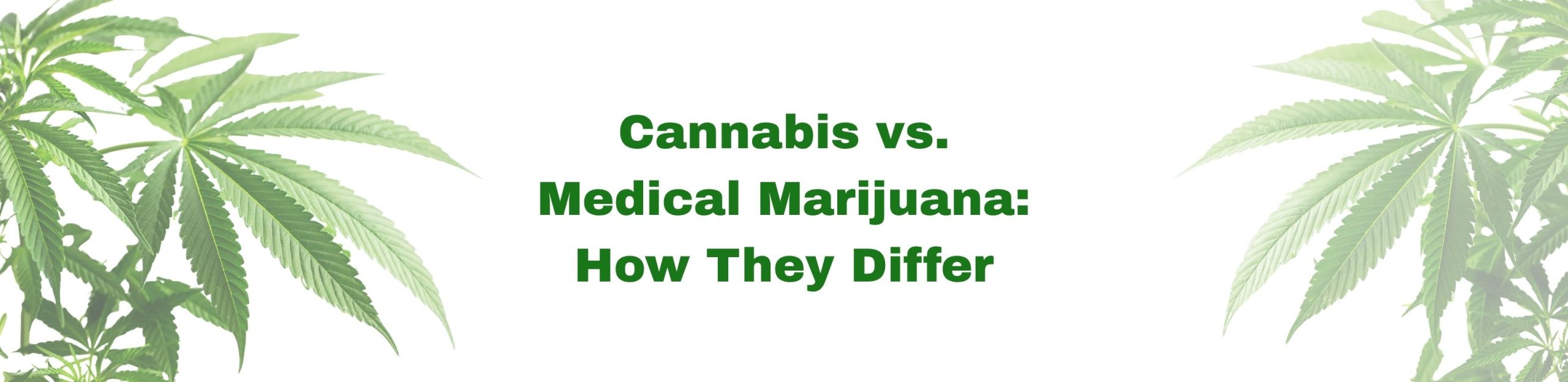 Cannabis vs. Medical Marijuana: How They Differ, title banner