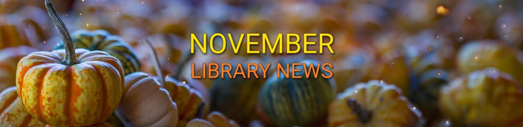 24NovembernewsBlogBanner